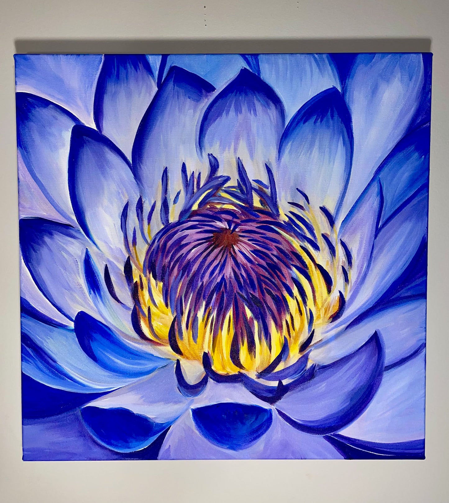 Blue Lotus