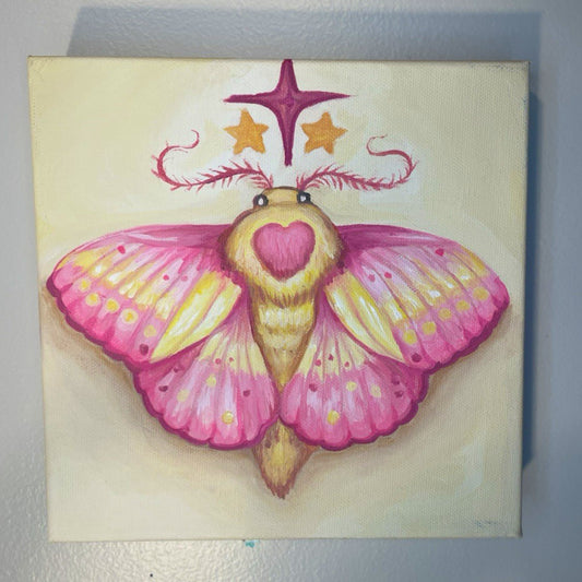 Rosy Maple Moth