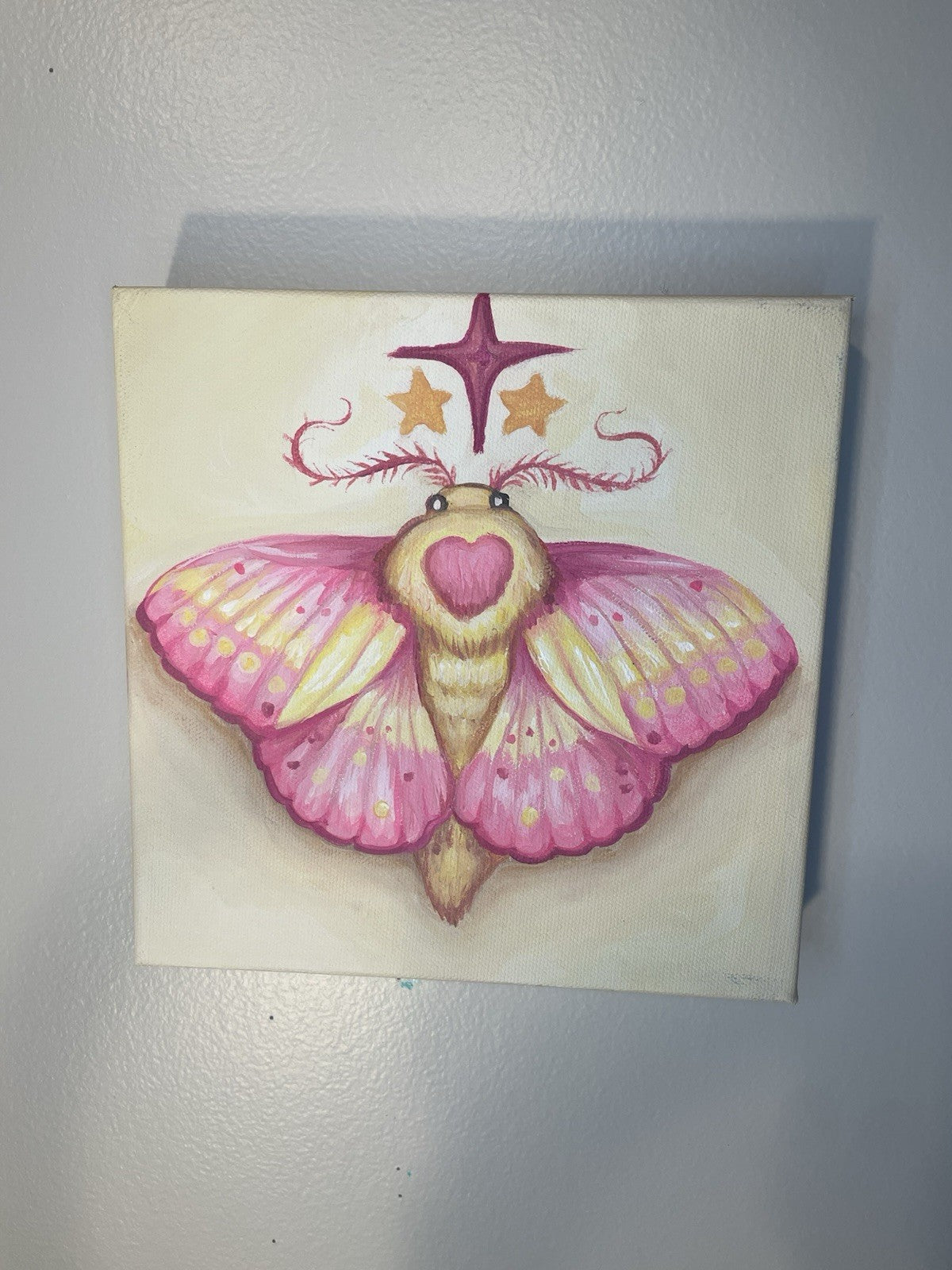 Rosy Maple Moth – KrissyWhiski